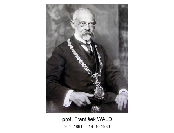 prof. Walda