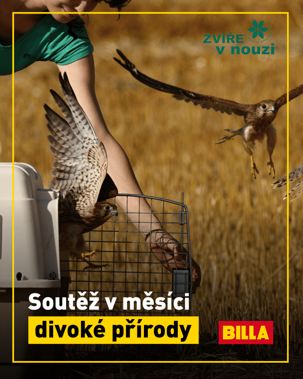 Bills Podpora priroda e1615054189291
