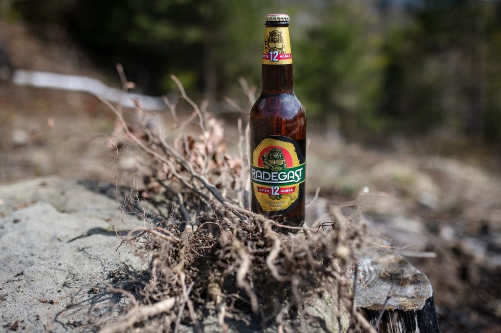 Radegast podpořil výsadbu 7 000 stromů v Beskydech 1 Radegast