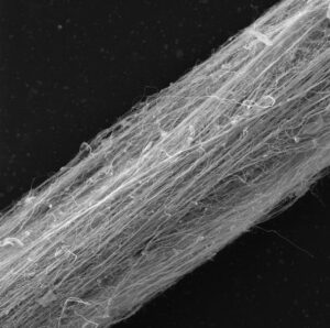 Nanovlakenna jadrova prize pod elektronovym mikrokopem zvetseni 500x