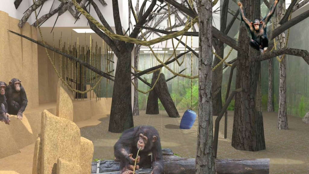 vizualizace interier pavilon opic