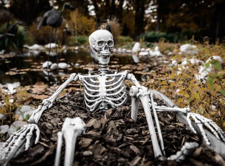 Zoo Zlín slaví Halloween