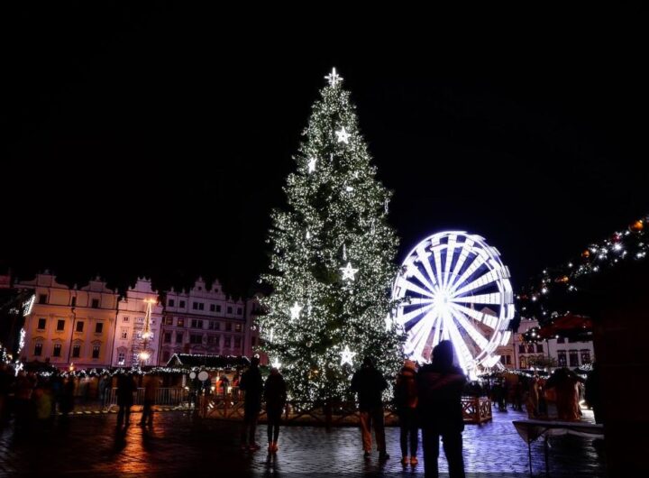 Plzeňský vánoční strom