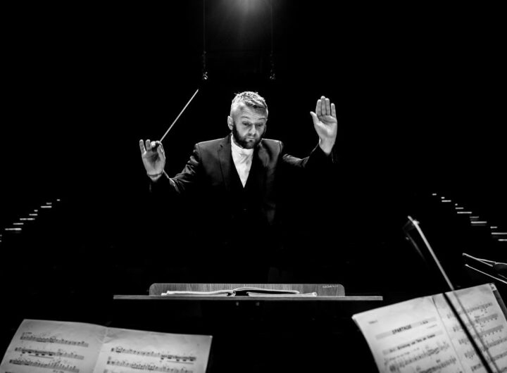 Harfa Emmanuela Ceyssona – a SOČR