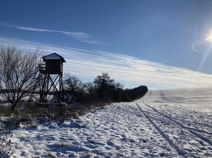 Velehradská panoramata