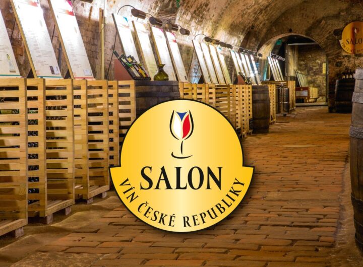 Salon vin 2022