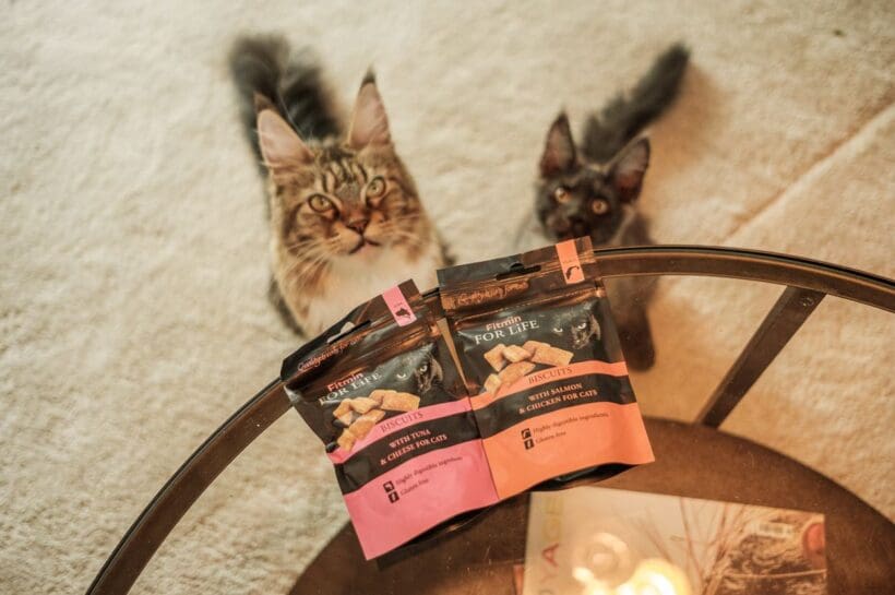 Láska na den sv. Valentýna prochází žaludkem psích i kočičích mazlíčků