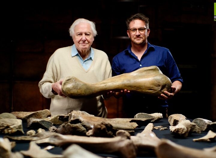 S Davidem Attenboroughem za objevem desetiletí