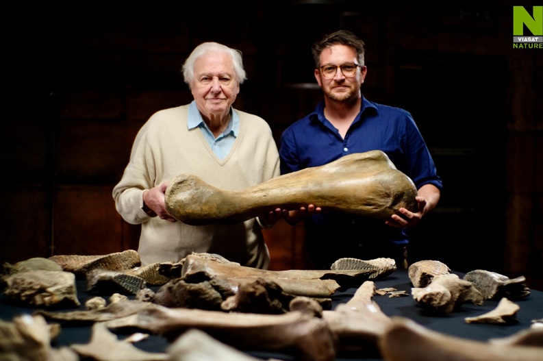 S Davidem Attenboroughem za objevem desetiletí