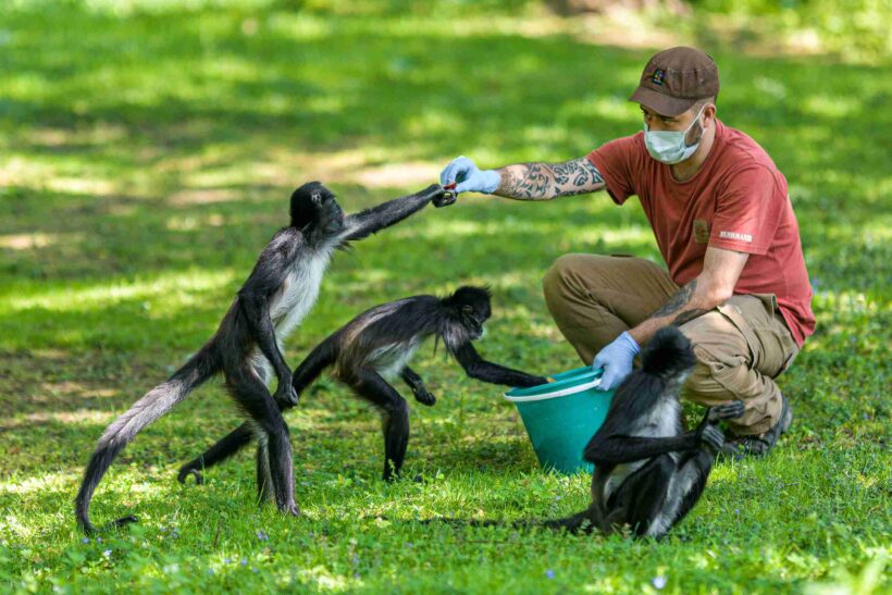 Zoo Praha nabízí mimořádné benefiční prohlídky