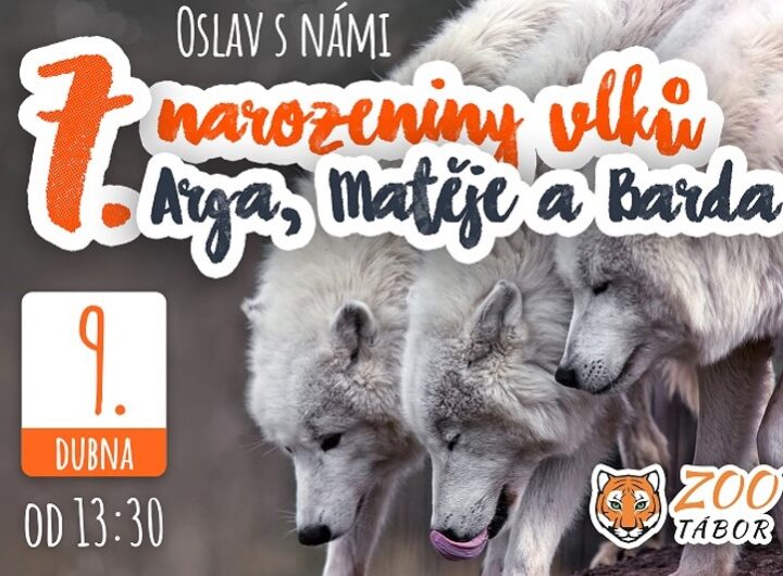 Zoo Tábor