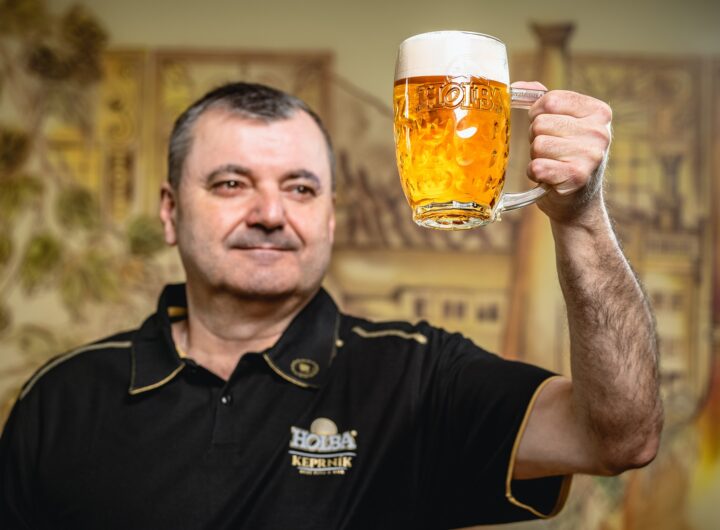 Ležák HOLBA 35