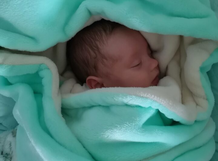 Pampers
