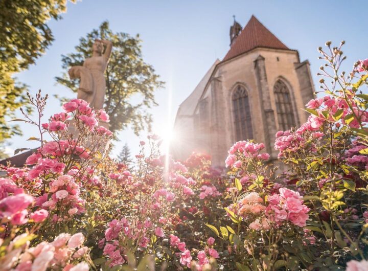 Festival Rosa Bohemica láká na hudbu na magických místech okolo Prahy, připomene i barokního architekta Dientzenhofera