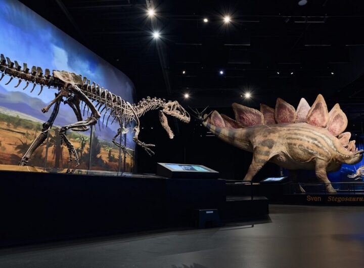 Dinosauria Museum Prague