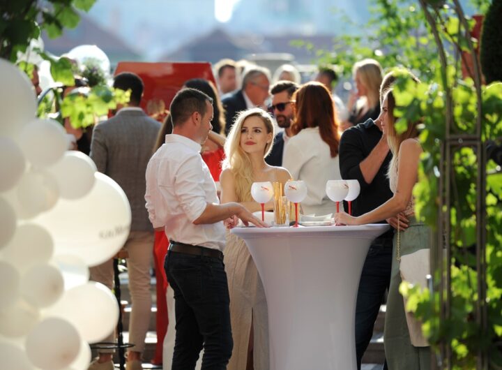 Šampaňské Mumm Ice Xtra