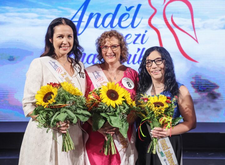 Andel mezi zdravotniky 1 1