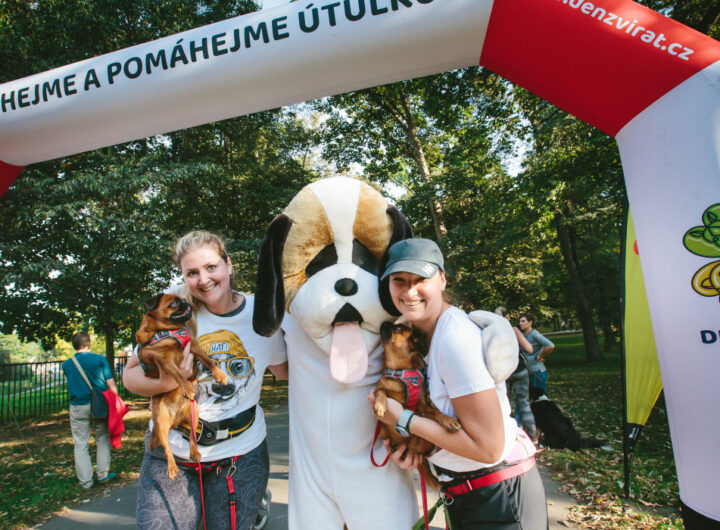 3 behejme pomahejme utulkum praha