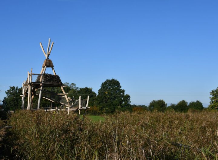 Jihočeský kraj
