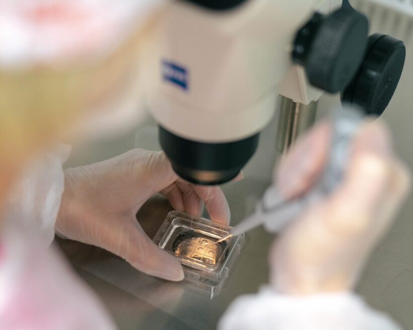 mikroskop embrya IVF CUBE