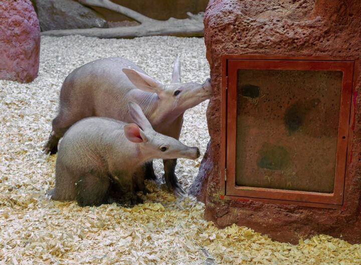Zoo Praha