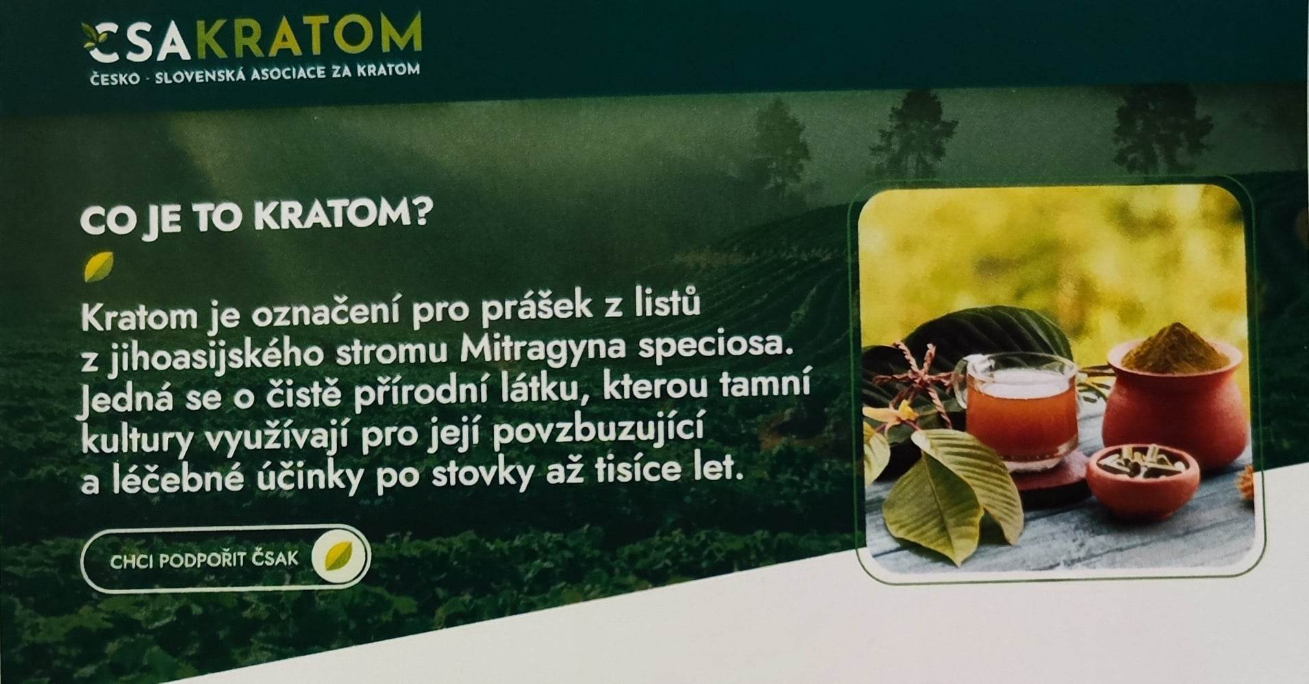 Co Je To Kratom D vody A Rizika U v n Kratonu Life4you cz co-je-to-kratom-d-vody-a-rizika-u-v-n-kratonu-life4you-cz