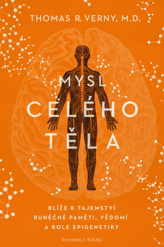 MYSL TELA 1