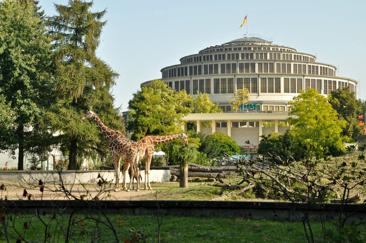 Wroclavska zoo