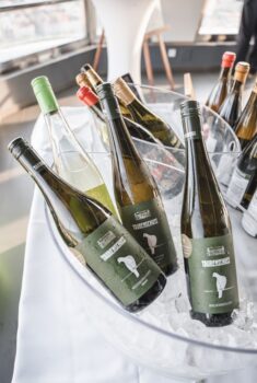 Umeni vina 2