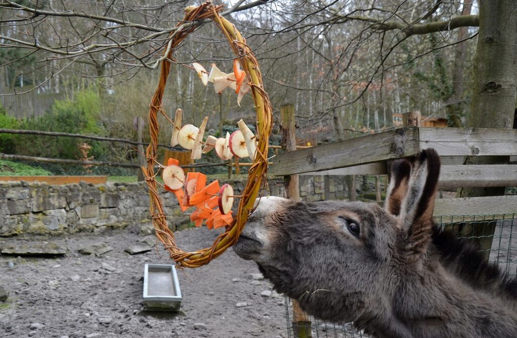 Zoologická zahrada Děčín