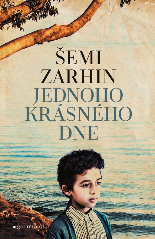 Jednoho krásného dne