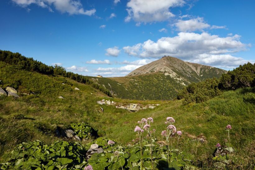 pohled na snezku web