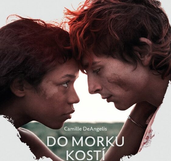 Do morku kostí