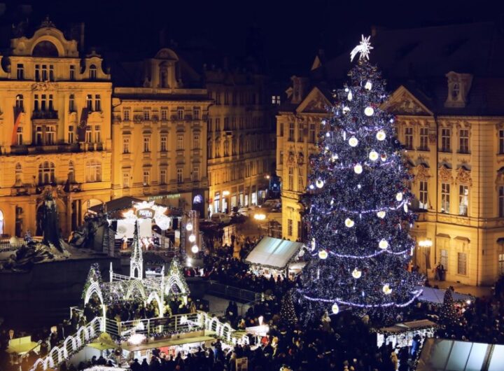 vánoční strom pro Prahu