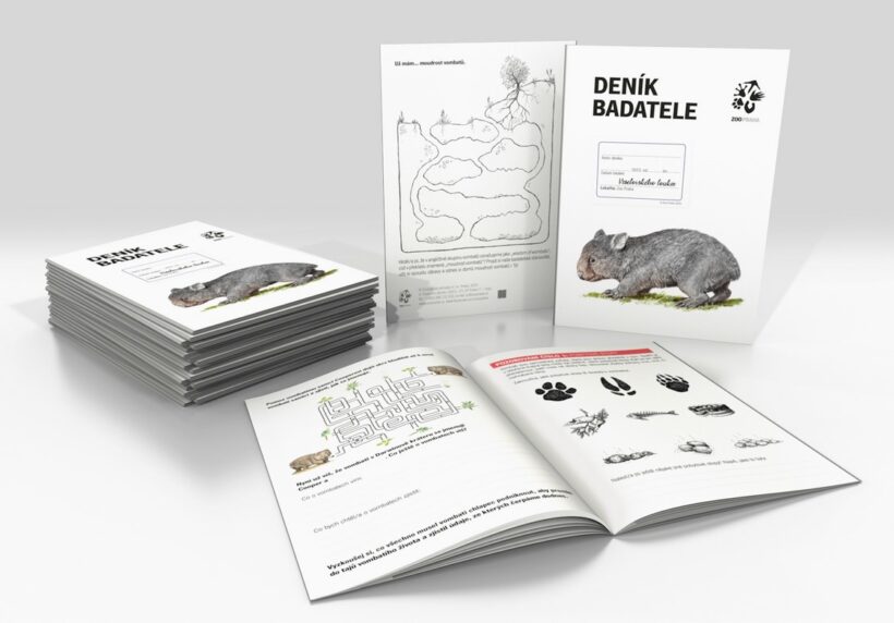 Pár vombatů už si na sebe zvykl