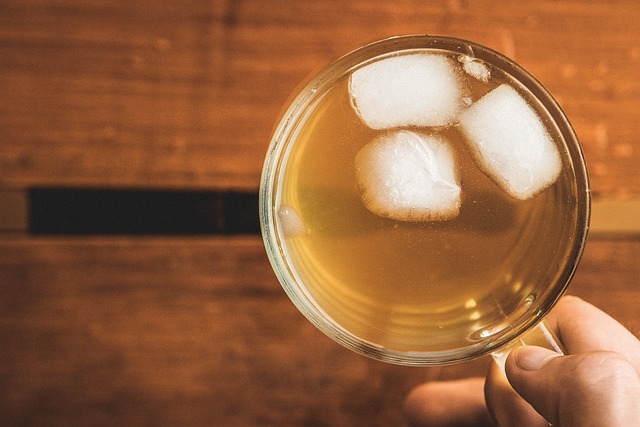 TEEKANNE Cool Sensations Ice Tea