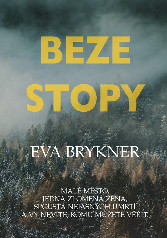 Knižní tip: Beze stopy od Evy Brykner 1 Beze stopy