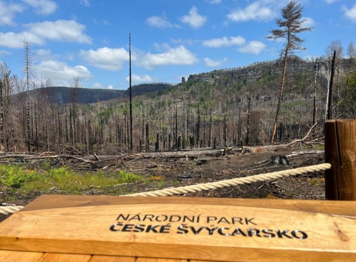 Národní park České Švýcarsko