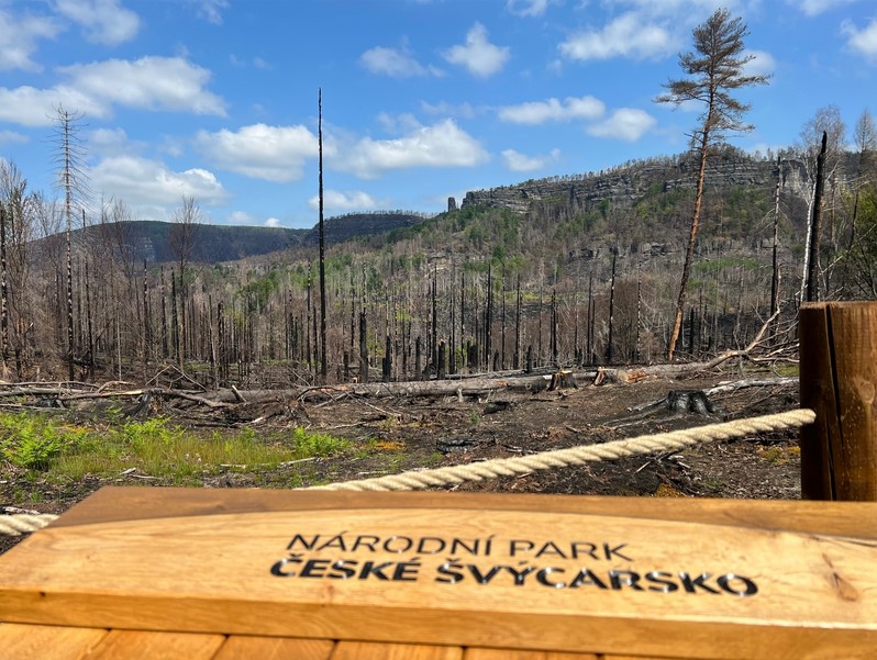 Národní park České Švýcarsko