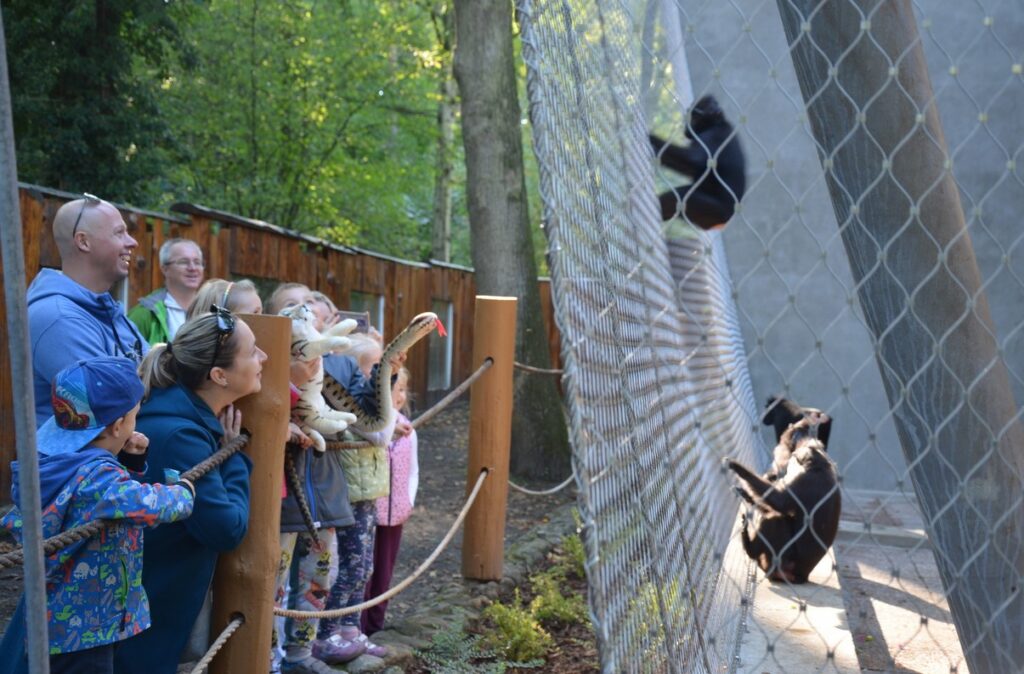 Prázdniny v děčínské zoo nabízejí mnoho zajímavého