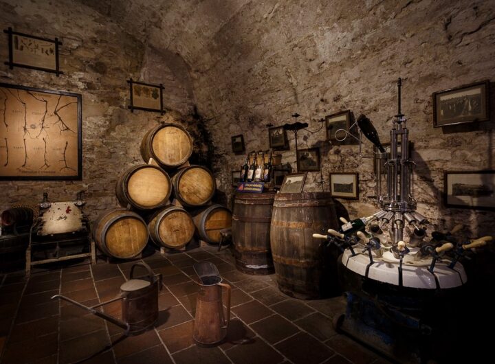 Mělník, vinařství