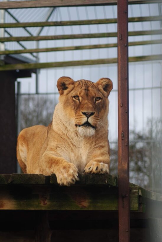 Zoo Tabor 2