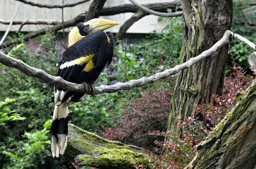Zoo Zlín 