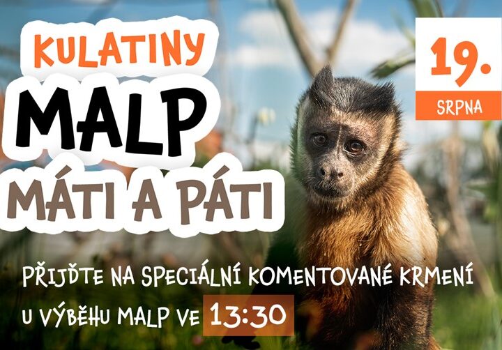 Zoo Tábor