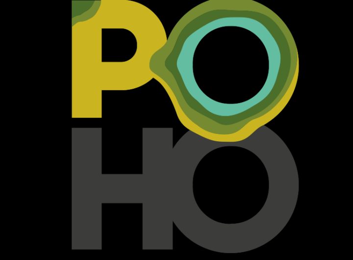 festival poho den