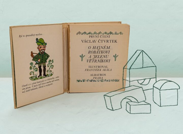 Netradiční knižní typologie máte doma soudružku, utahaného rodiče nebo svačinářku
