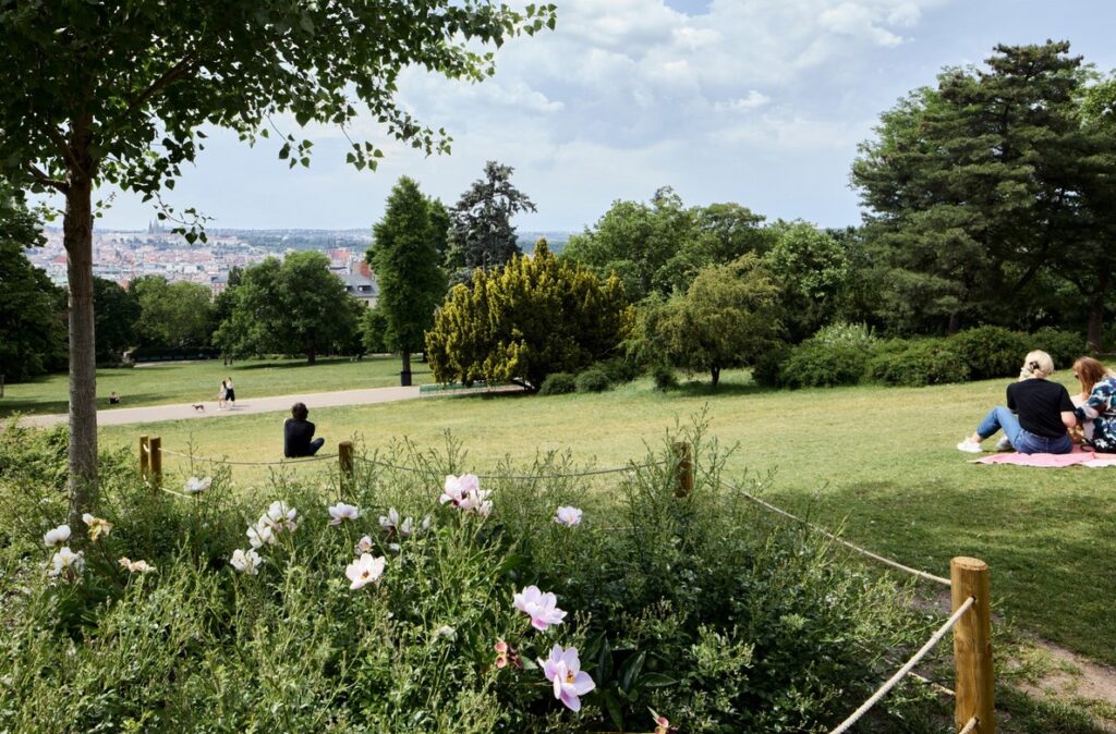 PARK ROKU 2023, Riegrovy sady,