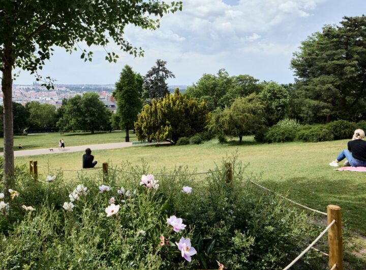 PARK ROKU 2023, Riegrovy sady,