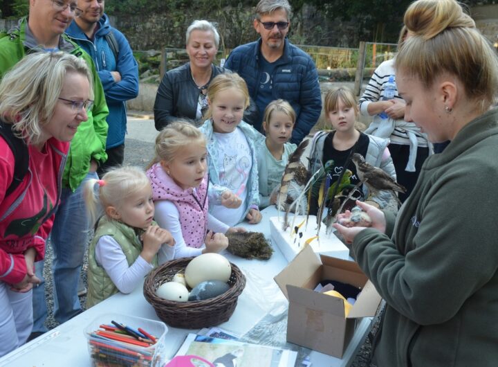 Zoo Děčín, Mezinárodní den zvířat