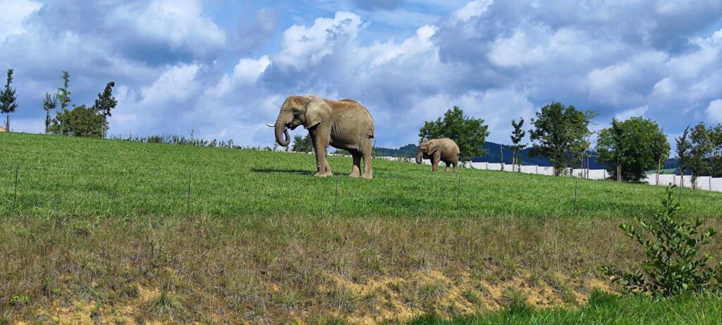Cestujeme s Life4you: Zážítky v Zoo Zlín 1 Zoo Zlín